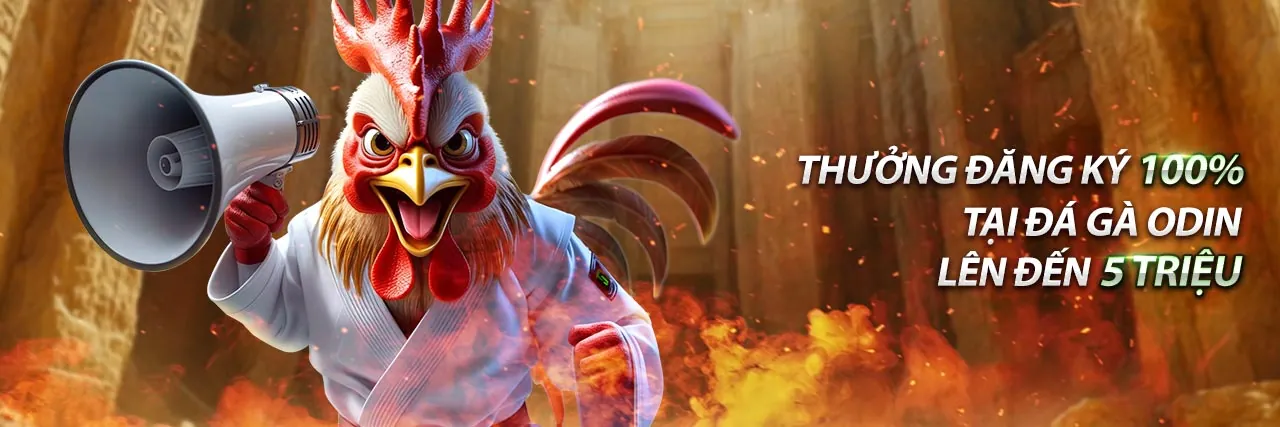 Người chơi may mắn ăn mừng chiến thắng lớn tại OKVIP Casino